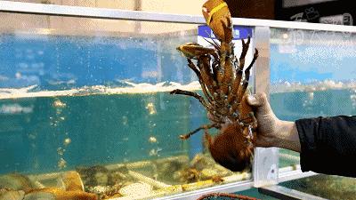 天津大胡同市集,天津最全年货市集都在这儿了