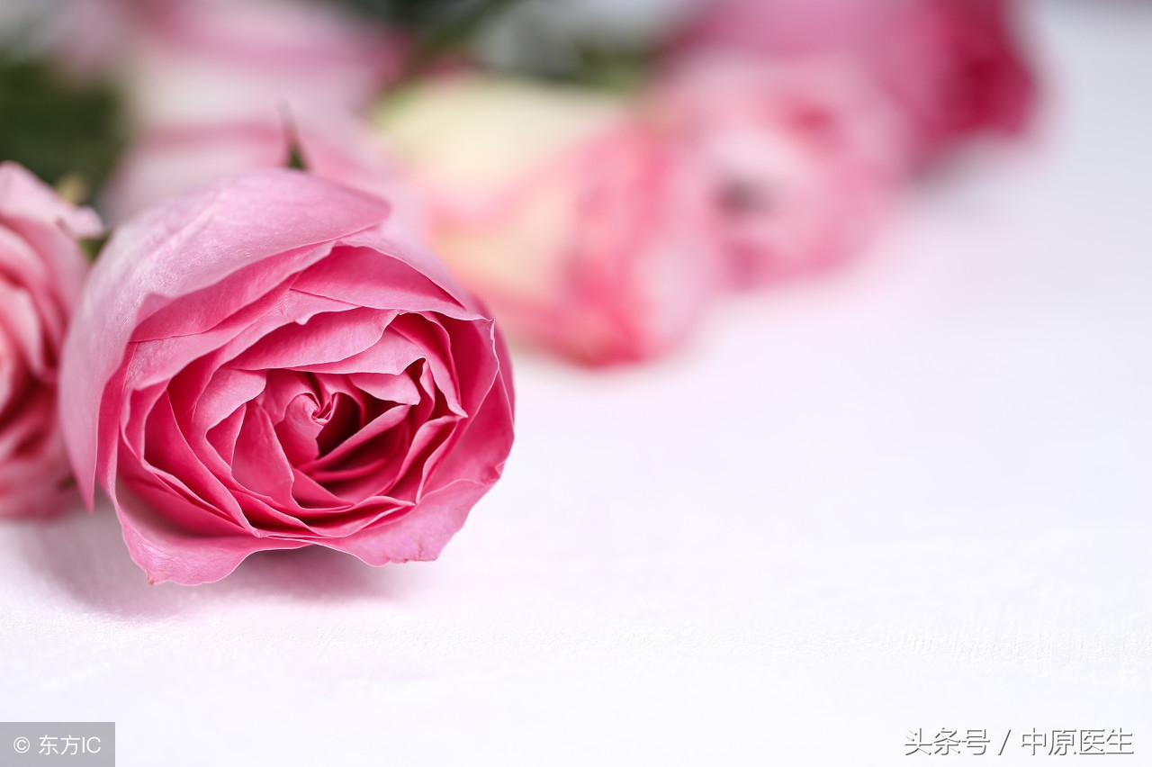 情人节调侃情人的话,情人节调侃的话语