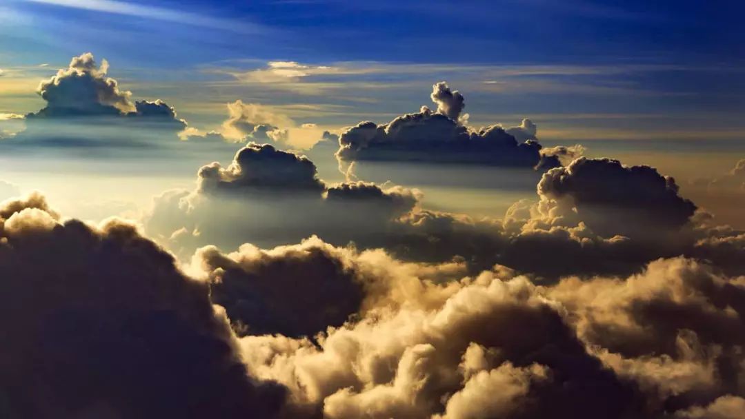 乐视破产原因及现状,乐视的崛起与没落