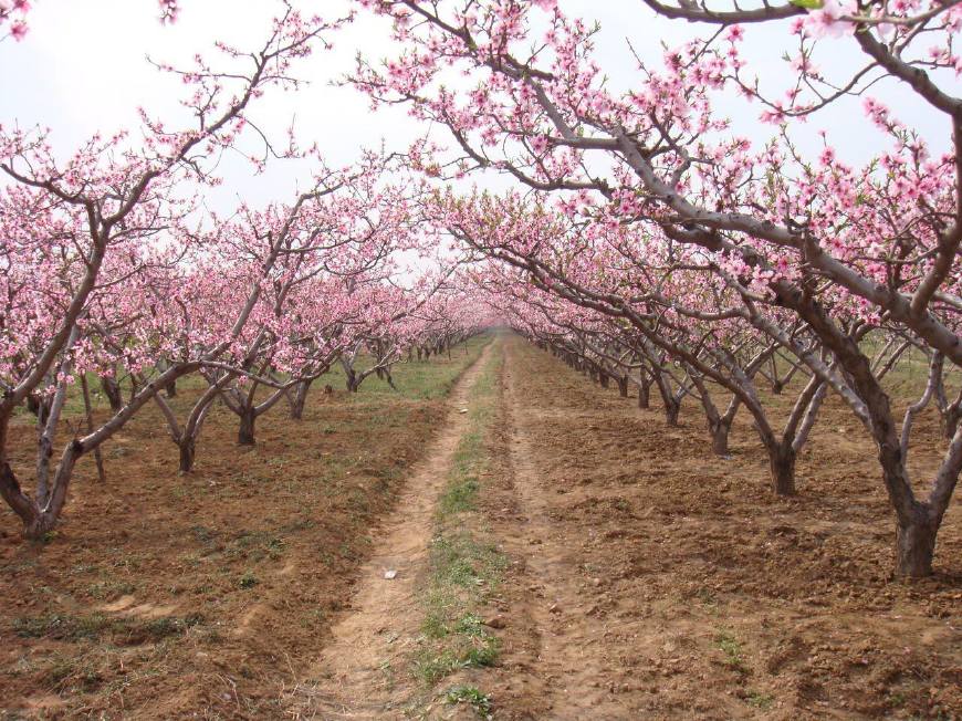 河北衡水深州形意拳,河北形意拳是属于哪个地方的