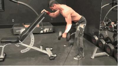 哑铃训练动作大全练全身初学者,哑铃练全身新手哑铃训练计划