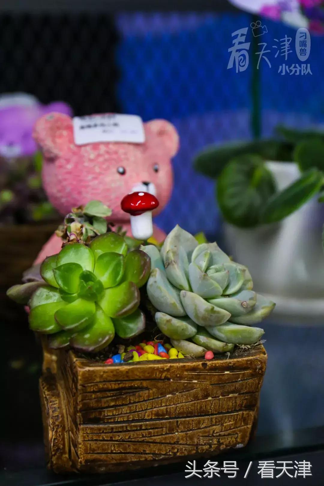 天津超级大市集,天津大胡同年货市场