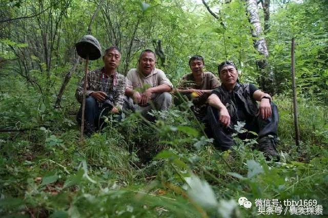 汉水源头南源,汉江南水北调的源头