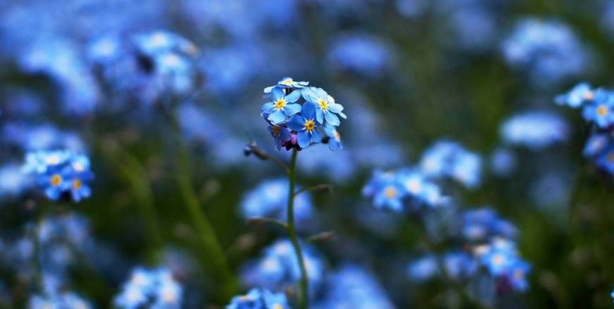 聊着聊着就失踪的星座,绝望了就消失不见的星座