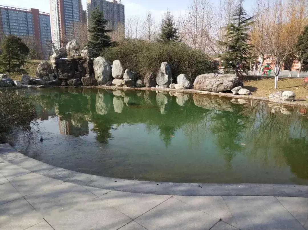 鎺㈢储瑗垮畨鍚勫ぇ楂樻牎,鐩樼偣瑗垮畨鍚勫ぇ楂樻牎