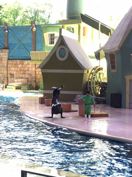 去珠海长隆海洋王国住哪里好,海昌海洋公园和长隆海洋王国