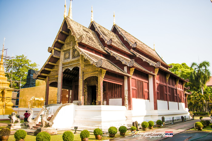 清迈佛寺之城等你采撷的泰北玫瑰,清迈环球旅行家