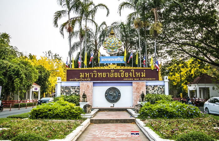 清迈佛寺之城等你采撷的泰北玫瑰,清迈环球旅行家