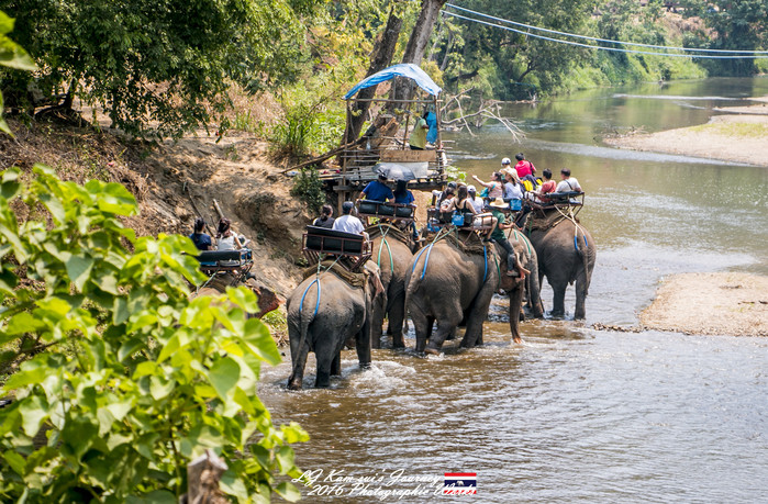 泰国清迈县旅行者,清迈佛寺之城等你采撷的泰北玫瑰