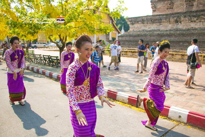 清迈佛寺之城等你采撷的泰北玫瑰,清迈环球旅行家