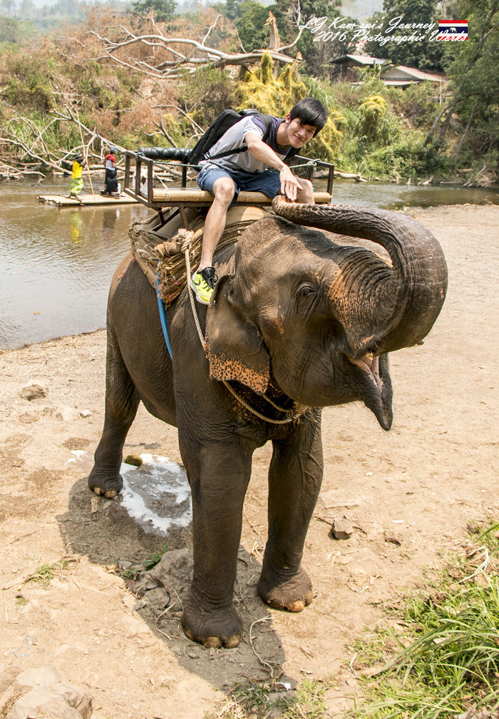 清迈佛寺之城等你采撷的泰北玫瑰,清迈环球旅行家