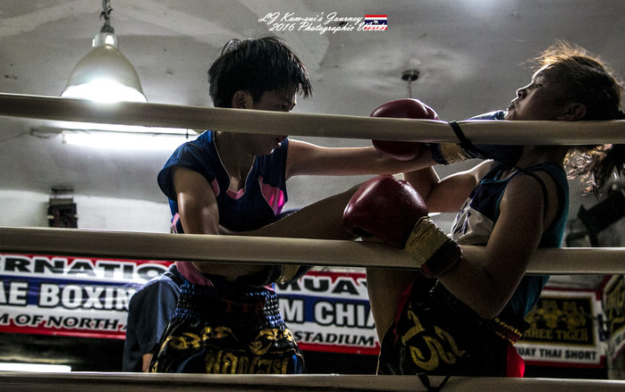 清迈佛寺之城等你采撷的泰北玫瑰,清迈环球旅行家