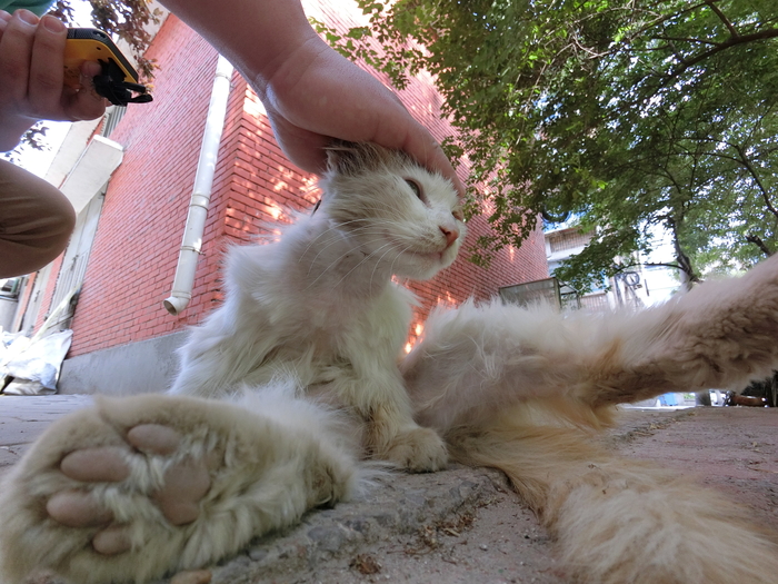 卡西欧fr-100,卡西欧ex-fr100怎么旋转