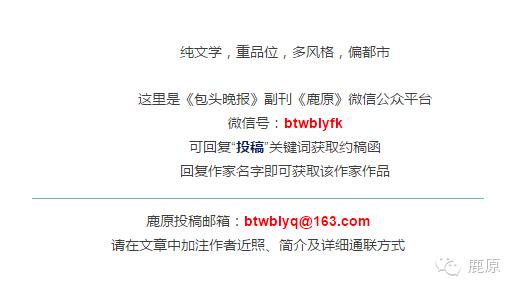 小学组15‖公园路小学高沛婷、钢四小刘宣、包钢实验二小白书宁、哈林格尔中心校侯闪闪、白云铁矿二小贾胜为