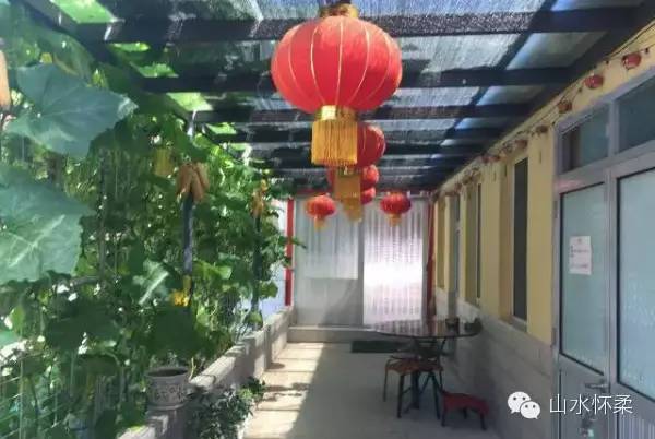 与花相约完整版,与花相约