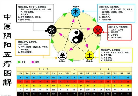 唐探2五行断案,唐探2器官对应的五行