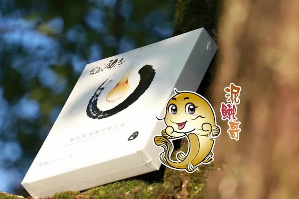 迎老乡回湖南建家乡,迎老乡回故乡建家乡西峡