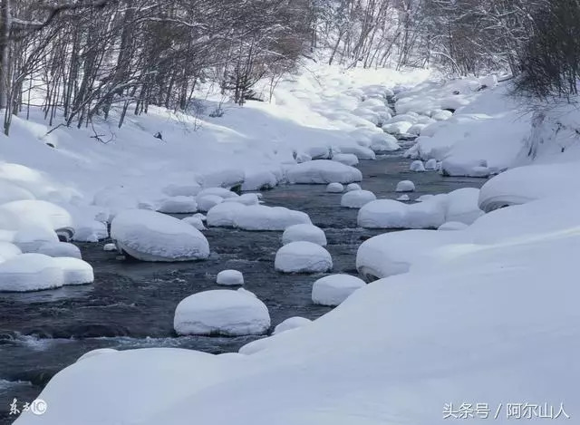 雪藏原版是谁,雪藏哪年出的歌