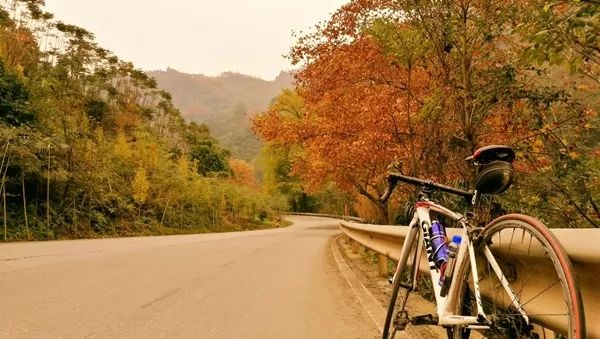 「爱上这座城」满地尽带“黄金甲”的崇州，会是怎样的惊艳？