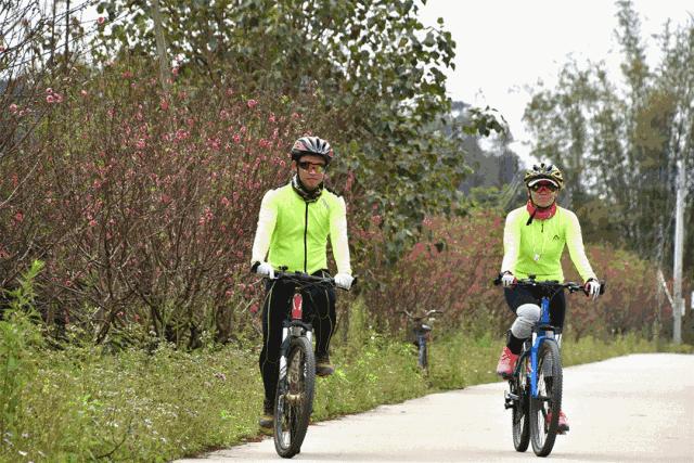 还未脱单？元宵前去东湾村吧，邂逅浪漫！