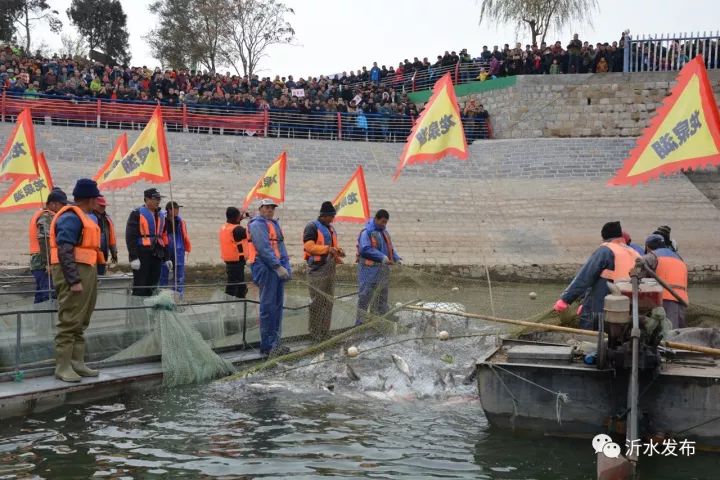 沂水最新发生的新闻,2015沂水旅游十大新闻