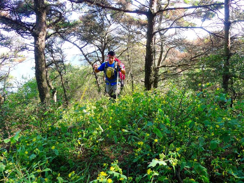 蒙山三十六计之十六：雨潜麻峪环古寺