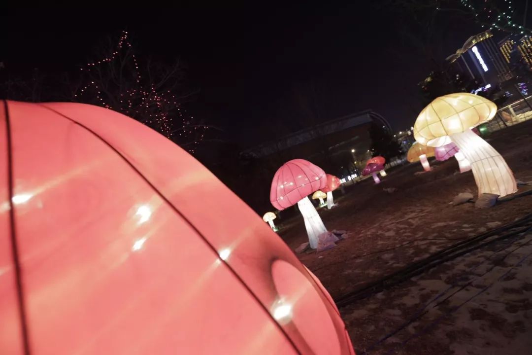 沈阳元宵节去哪里玩最合适,沈阳赏花灯推荐去处