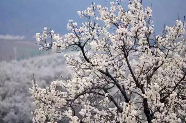 西安慢火车周边游,从西安出发高铁周边游一日游