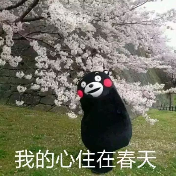 春天到了焦虑怎么办,春天来了被迷住了