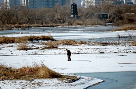 报春技巧,追春的七言诗句