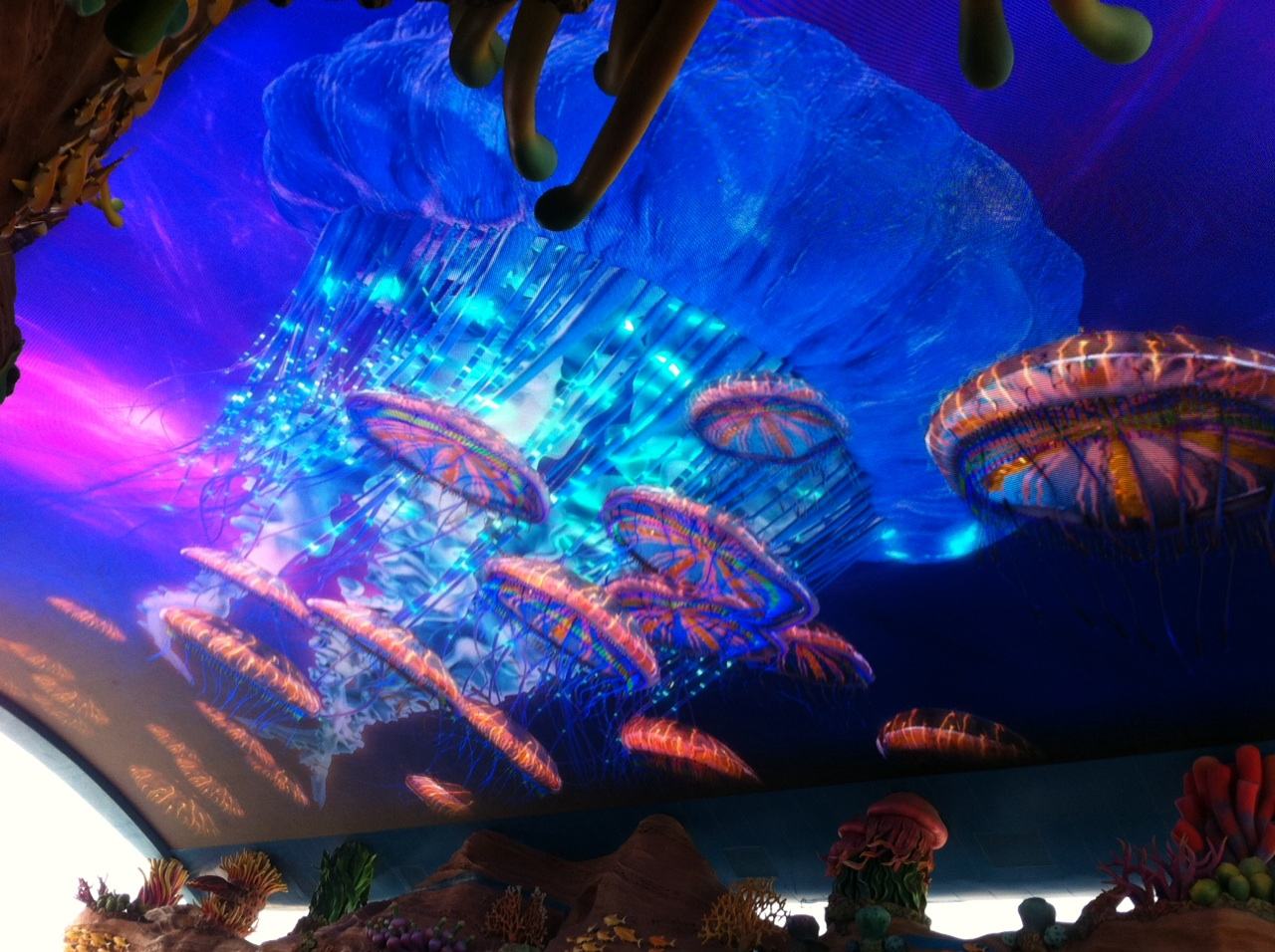 去珠海长隆海洋王国住哪里好,海昌海洋公园和长隆海洋王国