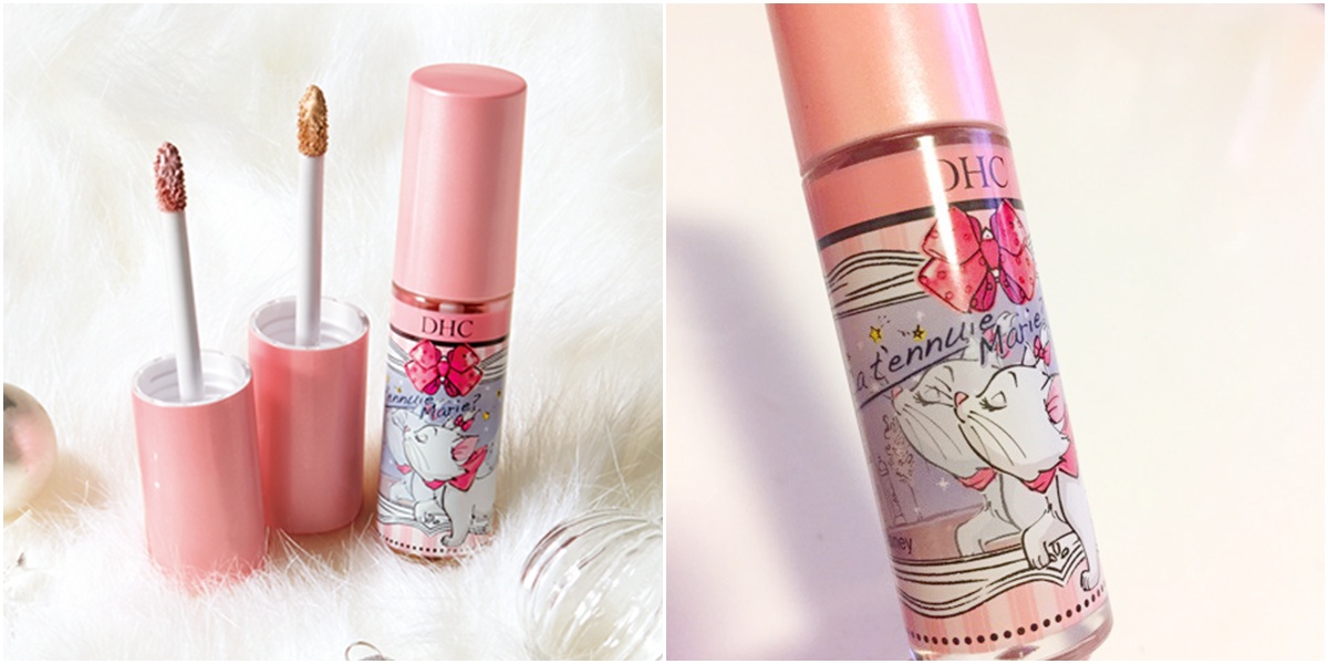 一些非常可爱的猫咪,这些可爱的猫咪让人着迷