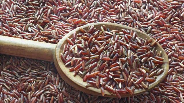 查询骨质疏松吃什么粮食最补,骨质疏松症应多吃哪种食物