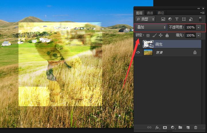 帕萨特车门升降装饰螺钉,帕萨特车门升降调节