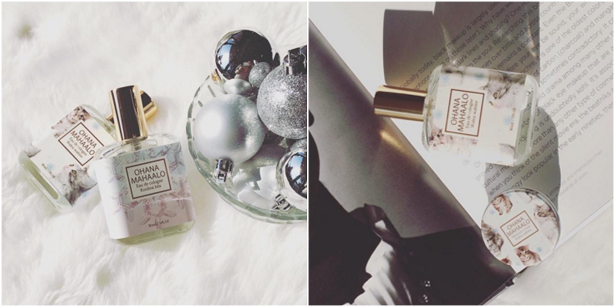 一些非常可爱的猫咪,这些可爱的猫咪让人着迷