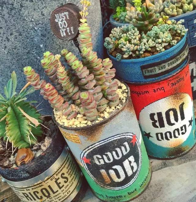 有一家多肉解忧杂货铺是一种怎样的体验