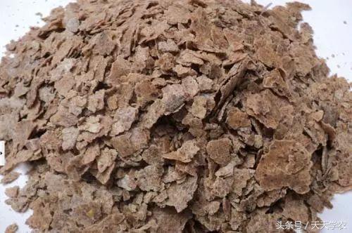 柑橘春季防治红蜘蛛的最佳时间,柑橘清园红蜘蛛如何消灭