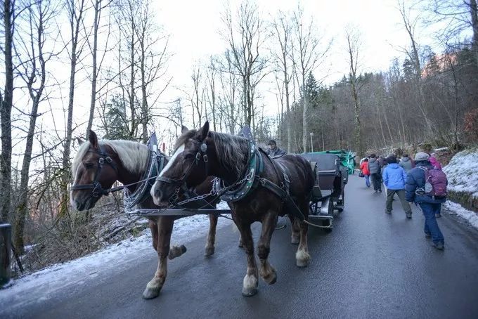 别再排斥跟团了之德国行，从哈布斯堡王朝，到雅历安血统