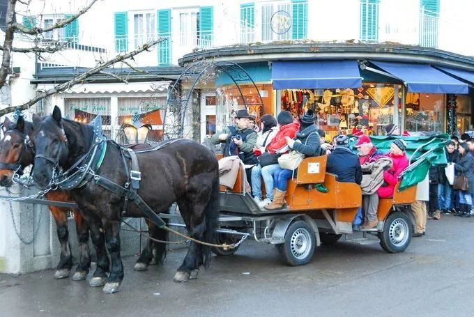 别再排斥跟团了之德国行，从哈布斯堡王朝，到雅历安血统