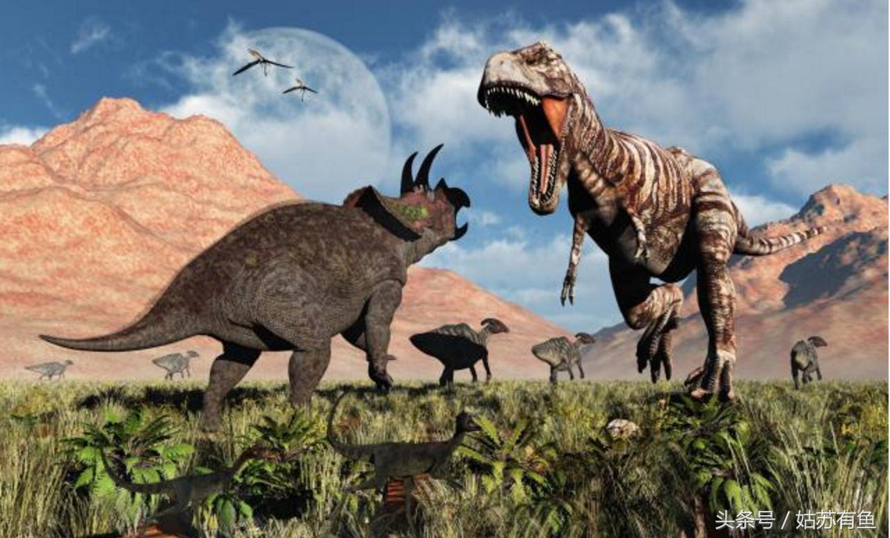 过客匆匆！那些曾经的地球霸主们（9）：霸王龙（雷克斯暴龙）