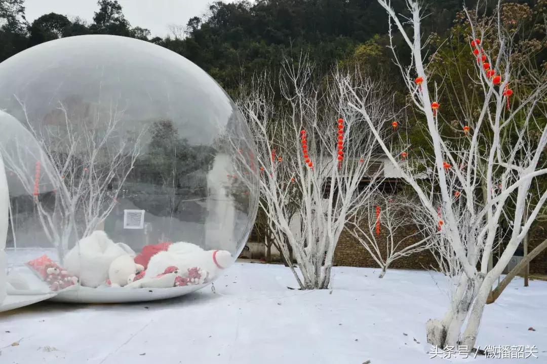 接招吧！开趴，其实还可以这Young过！