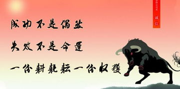 股权投资基金尽调流程,股权投资基本运作详解