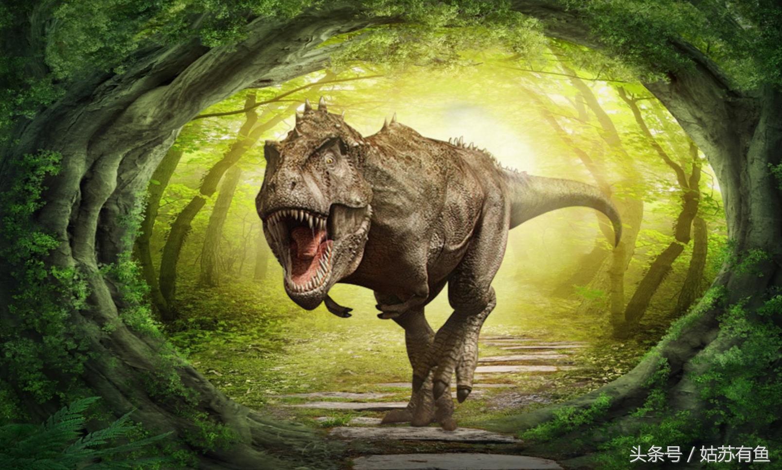 过客匆匆！那些曾经的地球霸主们（9）：霸王龙（雷克斯暴龙）