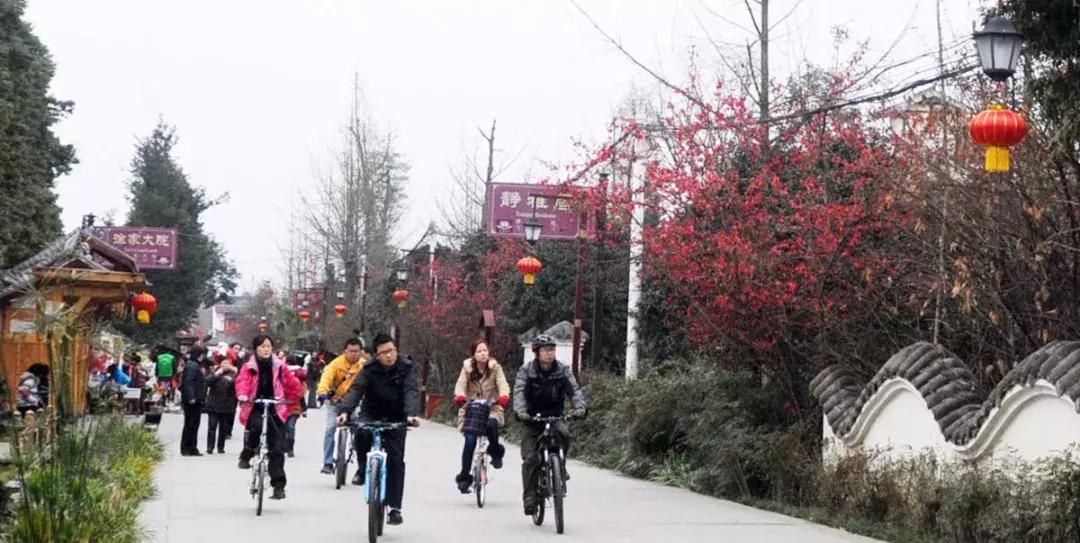 海棠花全部盛开,中国最大的海棠花观赏地