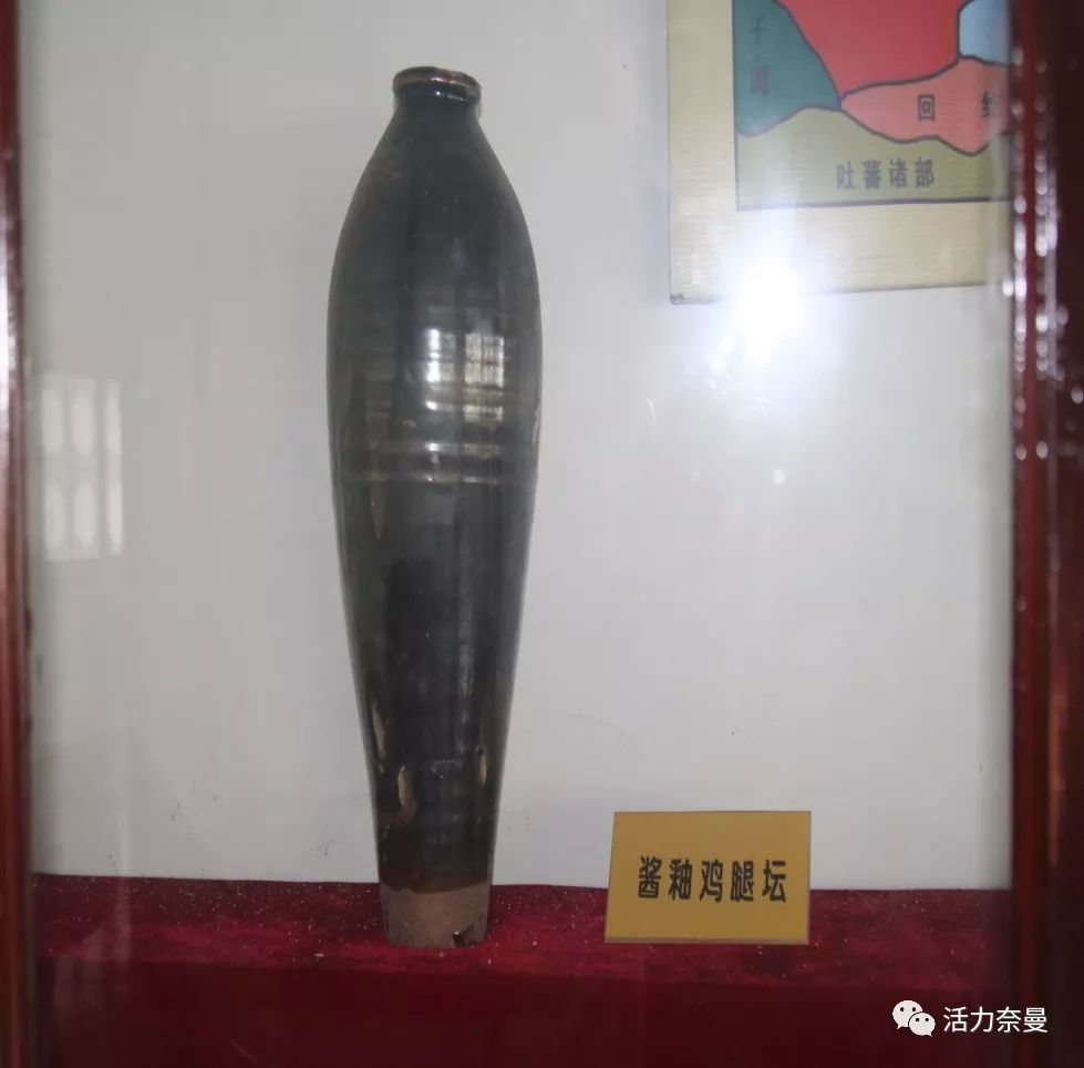 奈曼从哪儿来的,奈曼人真实身份