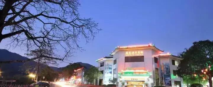 广州从化有哪些酒店泡温泉比较好,从化一小时车程