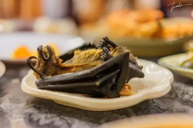 帕劳去玩的人多吗,帕劳到巴厘岛