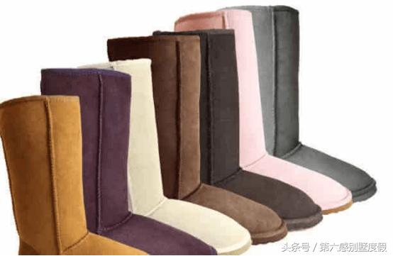 新西兰十大必买特产美食,新西兰十大必买特产