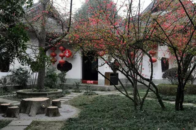 安逸，成都各区县的海棠花开了，周末带上家人或朋友踏春去哦