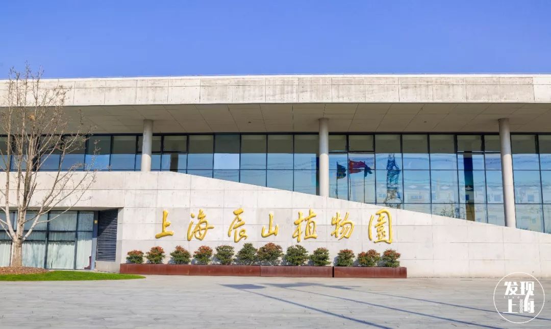 上海新年值得去的地方,春节被挤爆了的九个景点